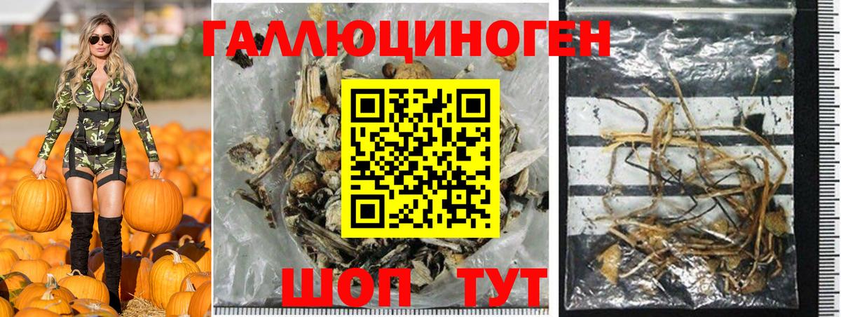 Псилоцибиновые грибы Psilocybine cubensis  Галлюциногенные грибы мухоморы  Вход с VPN  Южно-Сахалинск 
